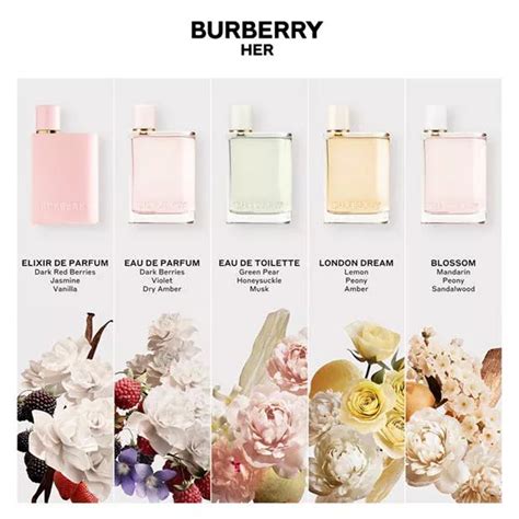 burberry goddess vs burberry her|burberry her perfume notes.